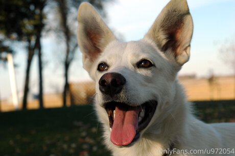 Loneranger2017 high quality model photos