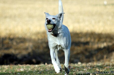 Loneranger2017 hot pornstar pic