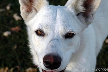 Loneranger2017 sex star photos