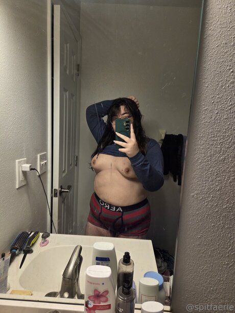 Spitfaerie model high quality pictures