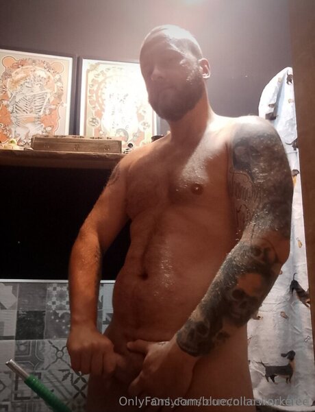 Bluecollarworker01 Profile pic