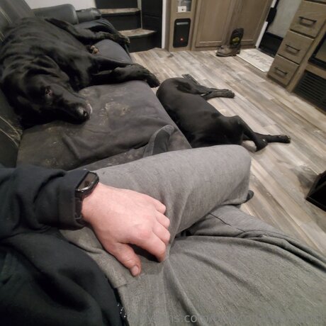 Bluecollarworker01 pornstar perfect pictures