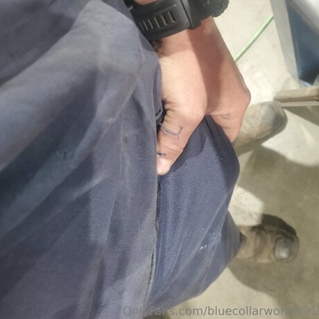 Bluecollarworker01 star nice images