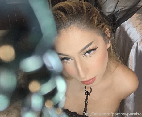 Bluntsandparadise star hot archive