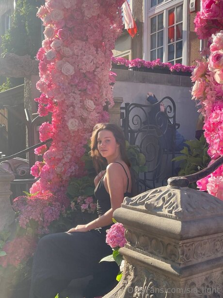 Sia Light star hd pictures