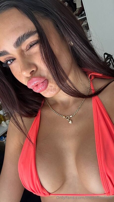 Thesofiaviera nice star photo