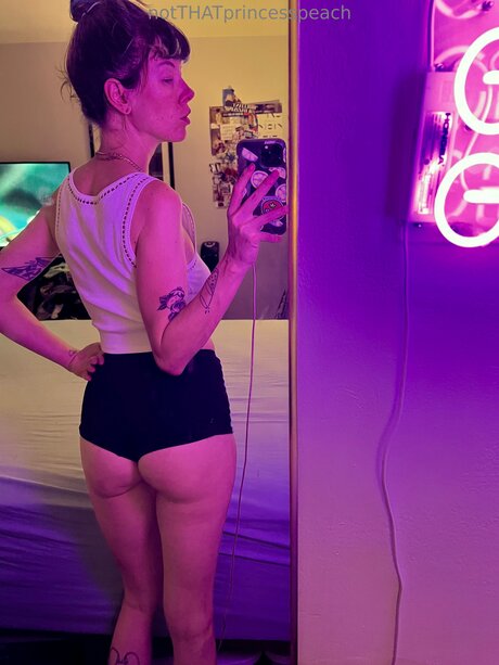 Notthatprincesspeach model high quality pic