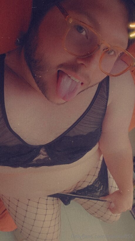 Sidonia855 best model img