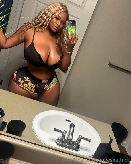 Tenneseethick model art image