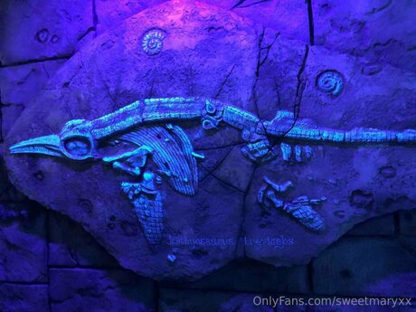 Rubyyexclusive hd actress img