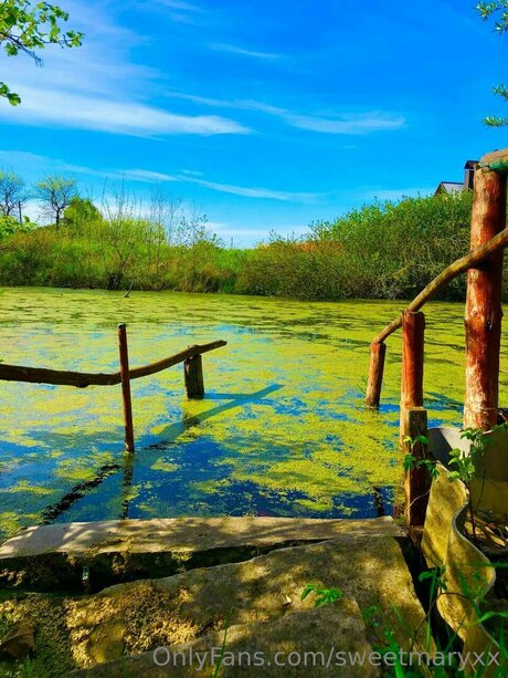 Rubyyexclusive art star images