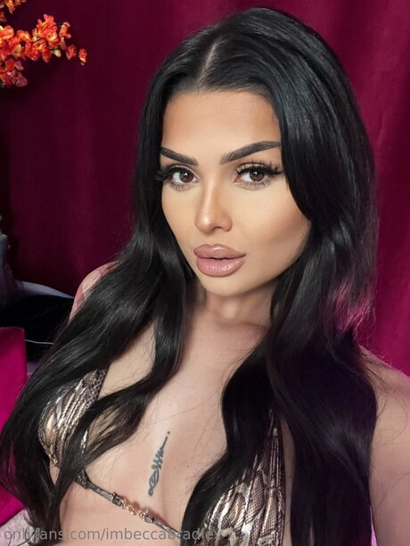 Imbeccabradley star best pic