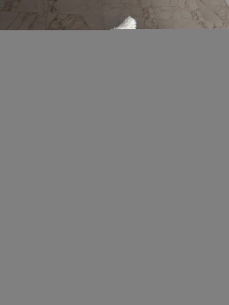 Bella Yammy hot star archive