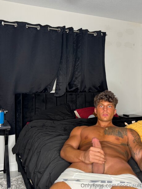 Leosvault hd star img