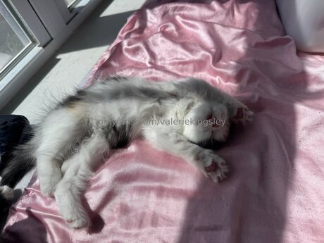 Valeriekingsley pornographic actress photo