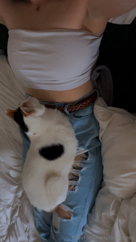 Jojoroseee pornographic actress image