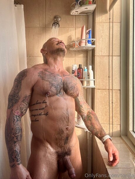 Torilla hd star pics