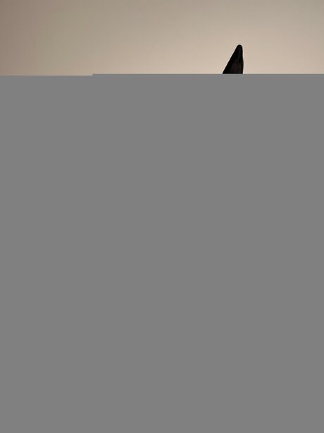 Domicute hd actress pics