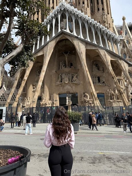 Erikafracassii pornographic actress img