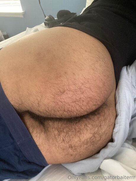 Gatorbaiterrr high quality actress img