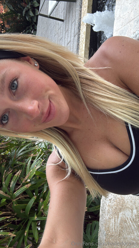 Halledorann model art galleries