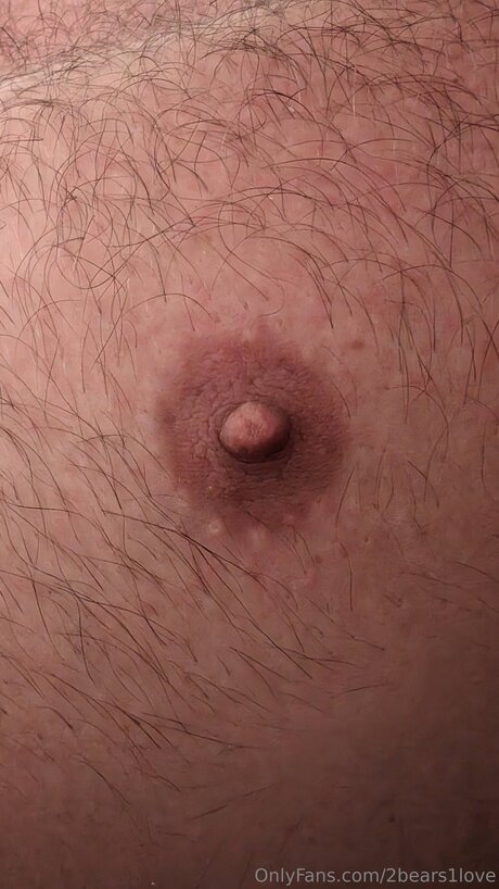 2bears1love Profile pic