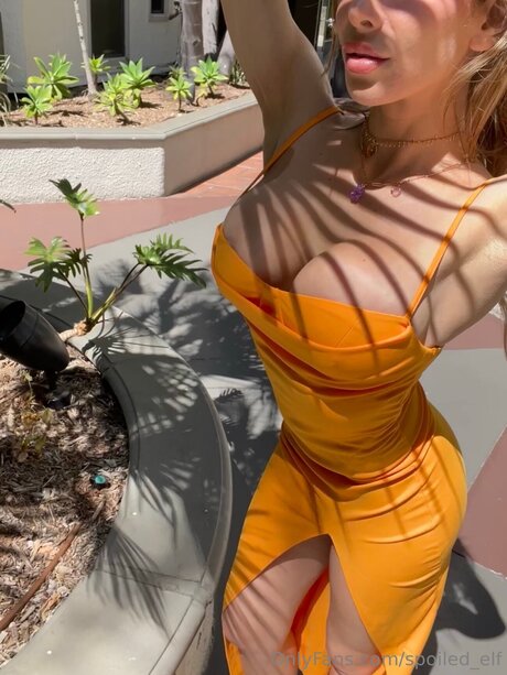 Spoiled Elf pornstar top pics