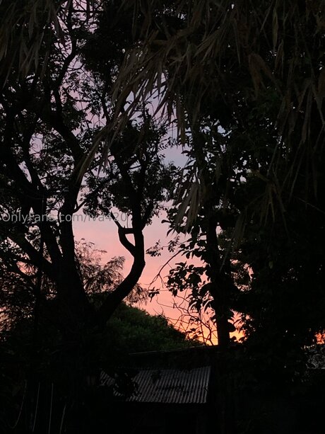 Iva420 porn star pictures