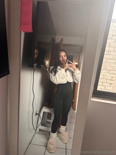 Catacustom star free photos