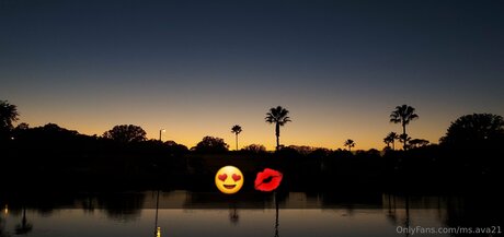 Ms Ava21 star porn image