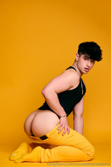 Ashtonadamsx nice pornstar pic