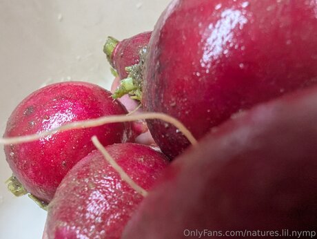 Natures Lil Nymp best pornstar image