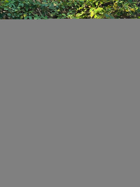 Livwa erotic model galleries