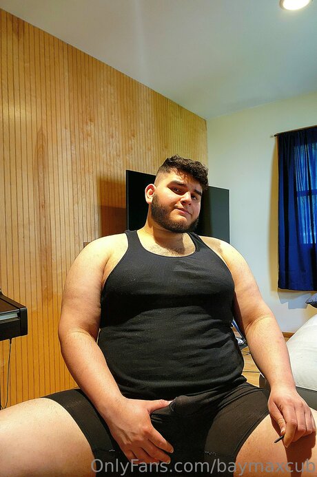 Baymaxcub art star img