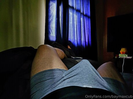 Baymaxcub free pornstar picture