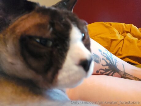 Pinkwater Forestpixie hot actress photo