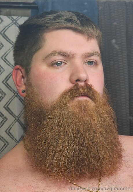 Avghammer xxx pornstar images