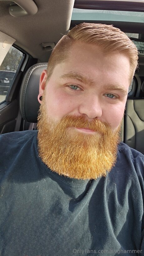 Avghammer model hd img