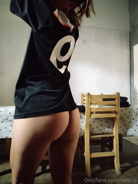 Vanicjs model top pic