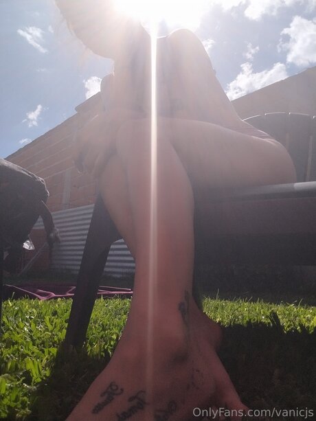 Vanicjs beautiful pornstar archive