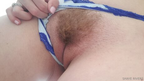 Shayeriversvip porn star photo