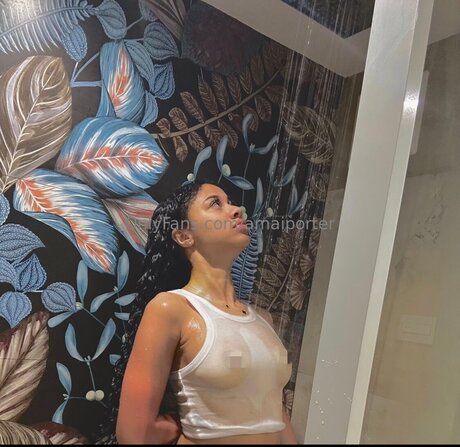 Amaiporter pornstar art archive