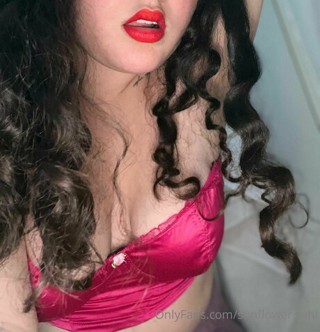 Sunflower Jessie beautiful star galleries