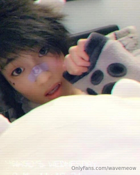 Wavemeow star perfect pics