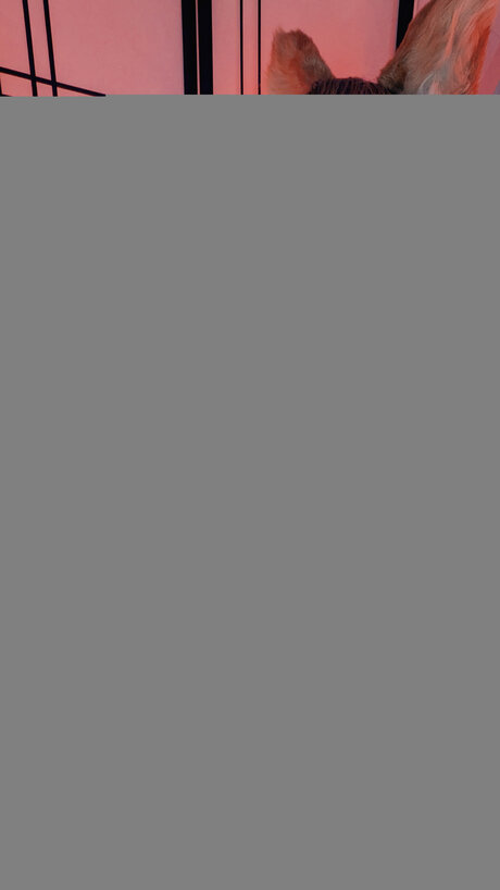 Ultimavip hd pornstar photos