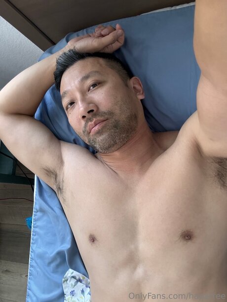 Hapatree star best pics