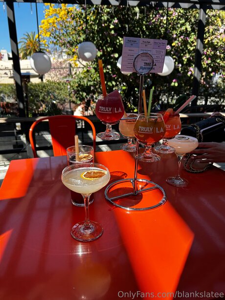 Blankslatee model adult img