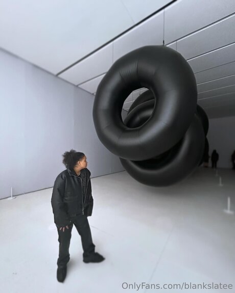 Blankslatee pornstar art pics