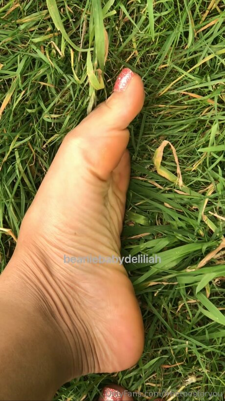 Freetoesforyou star high quality images