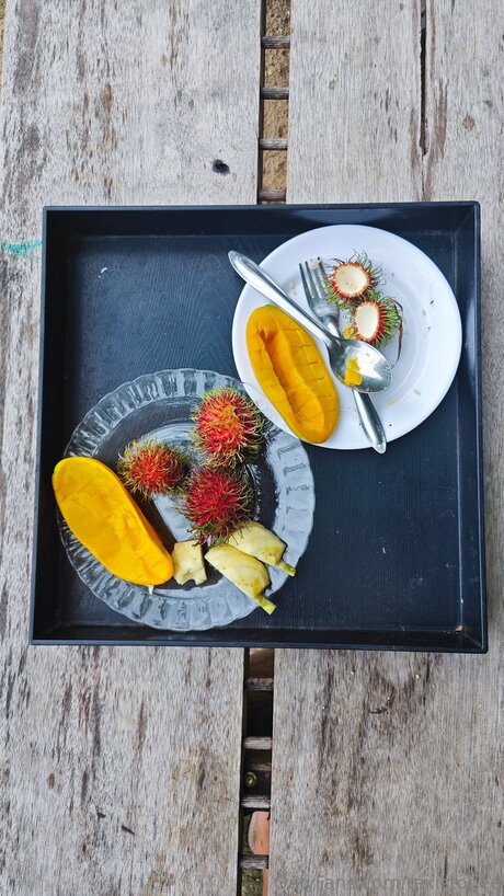 Rexistonee pornstar sex pictures